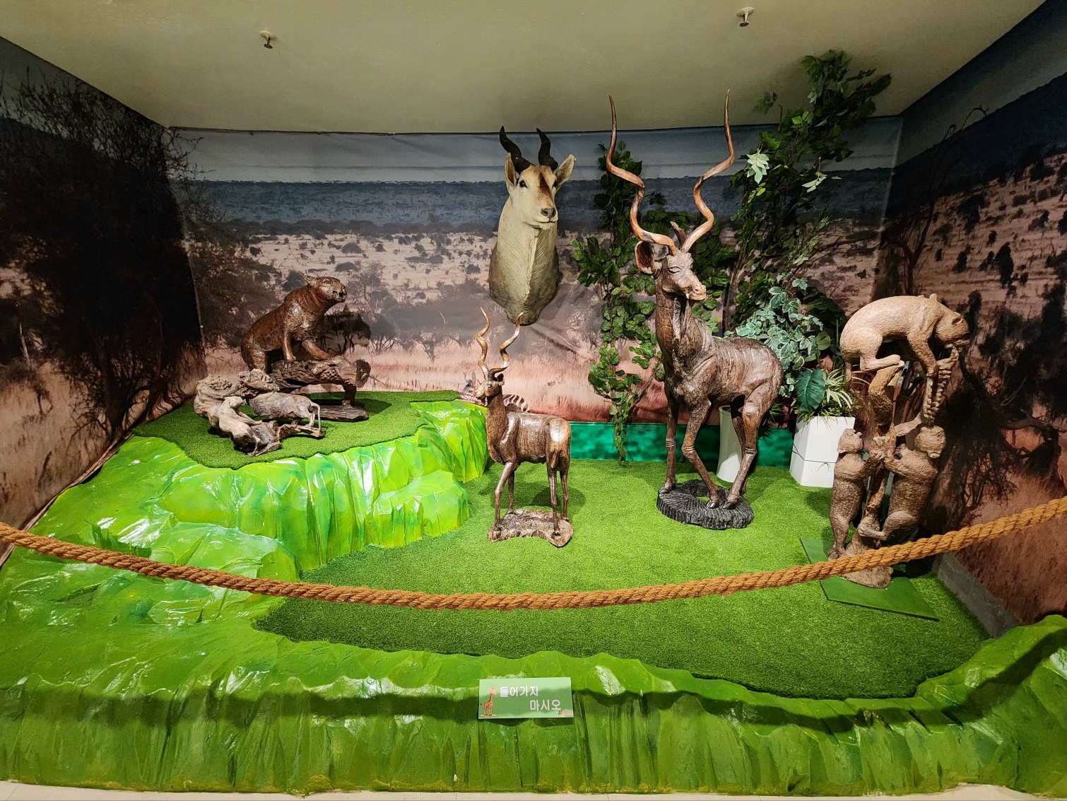 3067302113_3hckC0Gv_831ac82cb1e352ac567dd8d3aa1bc75636c488f1.jpg 이미지크게보기