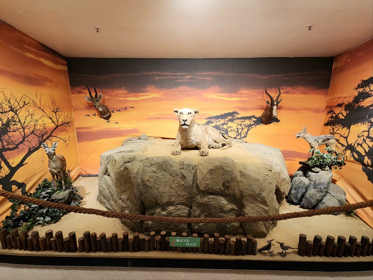 3067302113_AKyYnNaF_7192ecd89fea58c5b3cc159324cbc105e012cc62.jpg 이미지크게보기