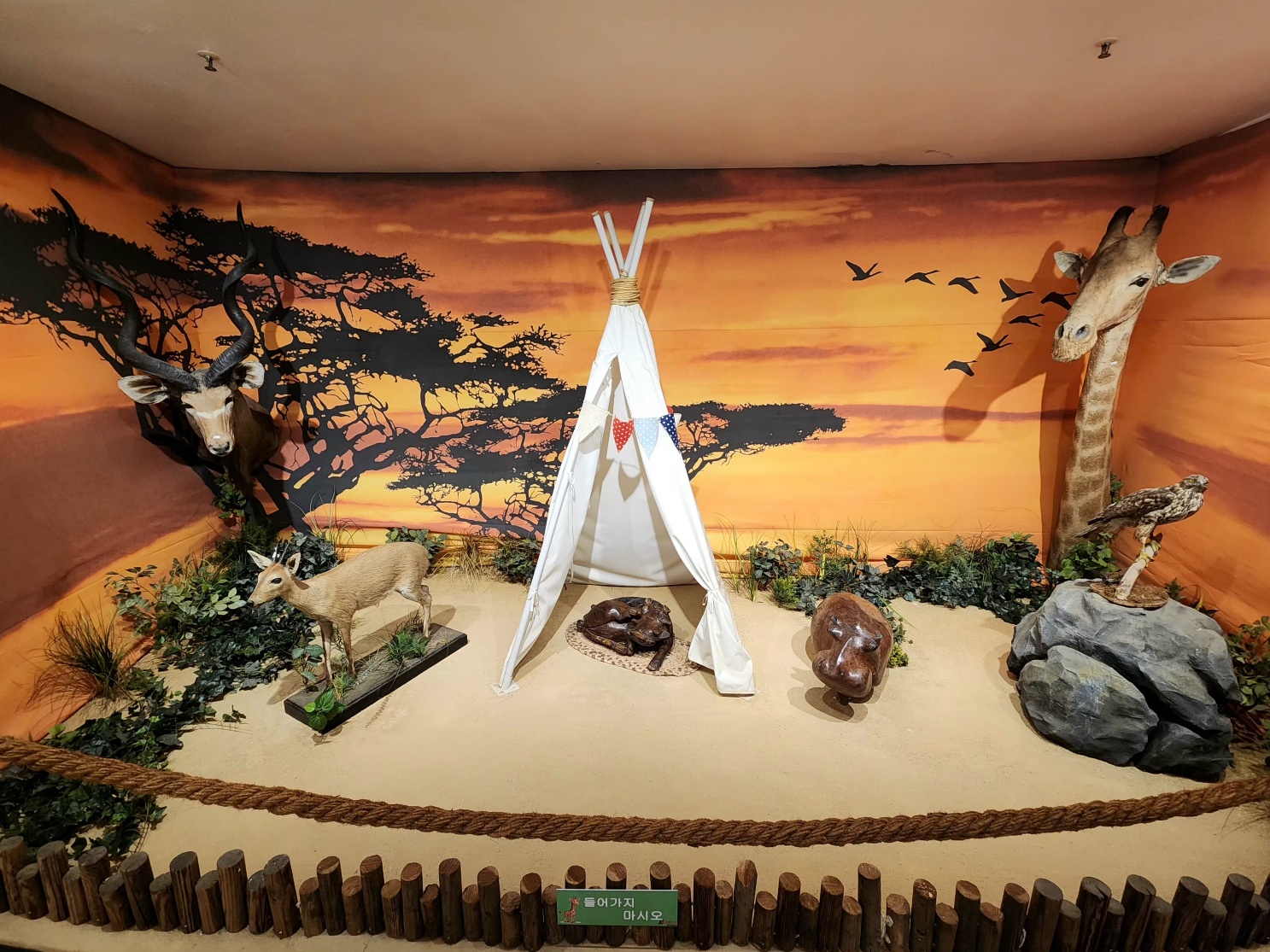 3067302113_KkSnIBlj_92f5cd2fcdb82e5b98dcd0763b22ce6fa63b77b9.jpg 이미지크게보기