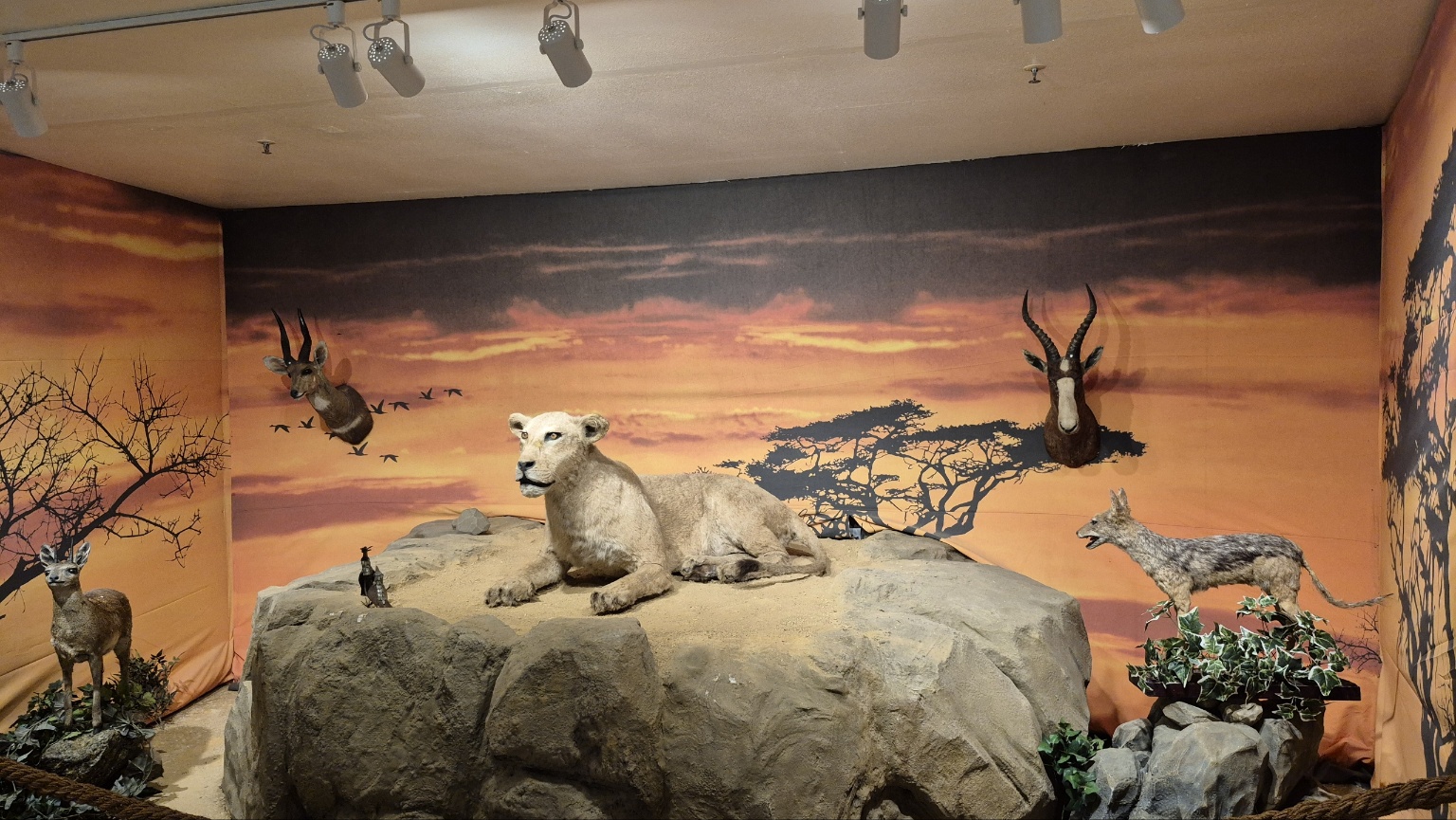 3067302113_LsfJvTND_514adc0d5ccc8bad0d1367afb6b6b15b04ec0ff7.jpg 이미지크게보기