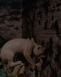 아프리카예술박물관_메인문구_공백